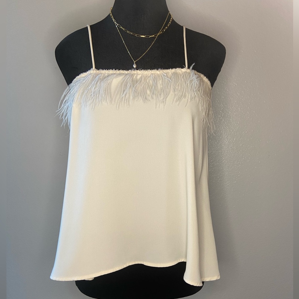 ZARA Feather Trim Pink Top - Beige / Cream Color